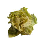 Radicchio Castelfranco ca. 3kg Saisonaler Artikel