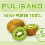 Kiwi Püree 100% 1,5kg Pulisano