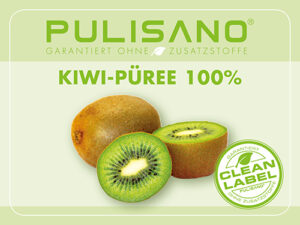 Kiwi Püree 100% 1,5kg Pulisano