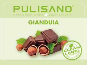 Gianduia naturell 100% Nougat 5kg Pulisano