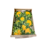 Kohl Blumenkohl orange "saisonaler Artikel"