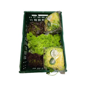 Salat Quadro 8er