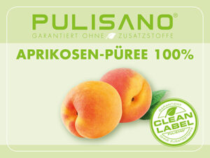 Aprikosen Püree 100% 1,5kg Pulisano