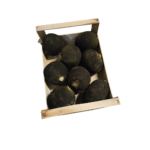 Schwarzer Kugelrettich