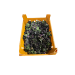 Flower Sprout 2kg "Saisonaler Artikel"