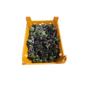 Flower Sprout Saisonaler Artikel