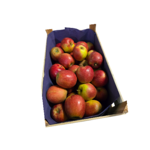 Apfel Wellant regional