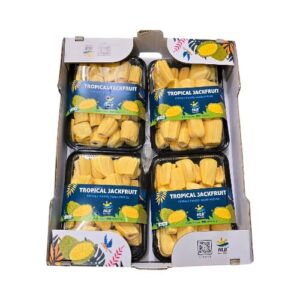 Jack-Frucht 4x750g