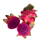 Pitahaja rot/rot "Drachenfrucht" 9-11 Stück Saisonaler Artikel