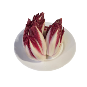 Chicoree ROT