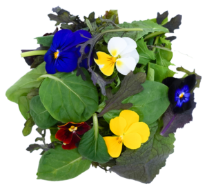 Salat Wildkräutersalat mit Blüten 250g