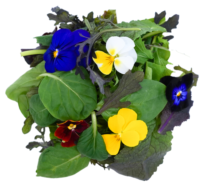 Salat Wildkräutersalat mit Blüten 250g – Bild 1