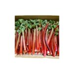 Rhabarber "saisonaler Artikel"