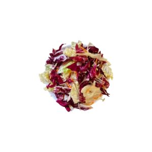 Salatmix Eckernförder Mix