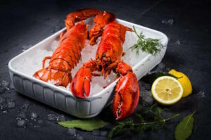 Hummer 400g TK Rocky Point