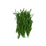 Queller / Seealgen 150g