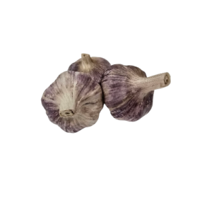 Knoblauch lila
