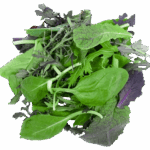 Salat Wildkräuter Mix 250g gewaschen