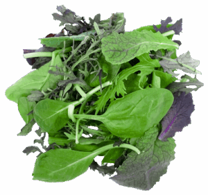 Salat Wildkräuter Mix 250g gewaschen