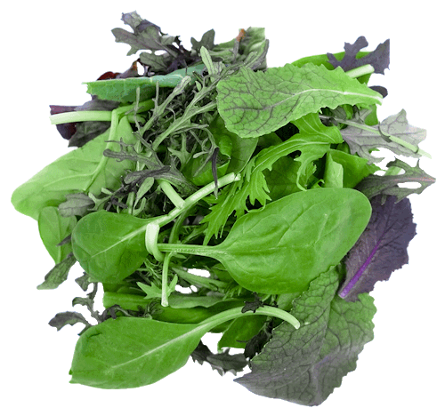 Salat Wildkräuter Mix 250g gewaschen – Bild 1