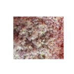 Schalotten Würfel 5x5mm