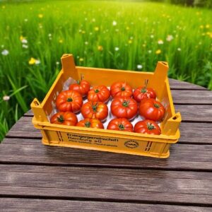 Tomate Vierländer Platte 3kg REGIONAL "Saisonaler Artikel"