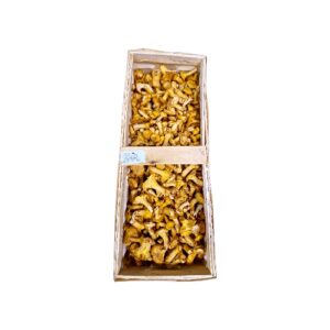 Pilze Pfifferlinge fein Saisonaler Artikel
