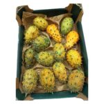 Kiwano 14 Stück