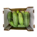 Gurken Schmorgurke 6kg Saisonaler Artikel