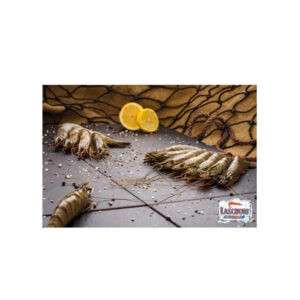 Scampi Black Tiger 13/15 mit Kopf mit Schale 1kg / 800g ATG Laschori