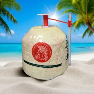 Kokosnüsse Jung Weiß zum Trinken