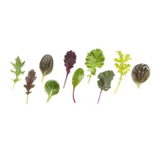 Salat Baby leaf 500g