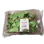 Salat Baby Mangold 100g