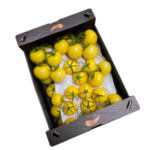 Tomaten Strauch gelb
