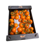Tomaten Strauch Orange