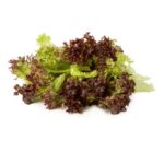 Lollo Rosso gewaschen 500g