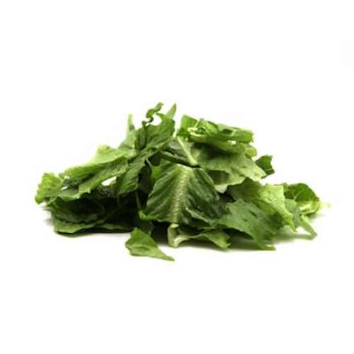 Römersalat gewaschen – Bild 1